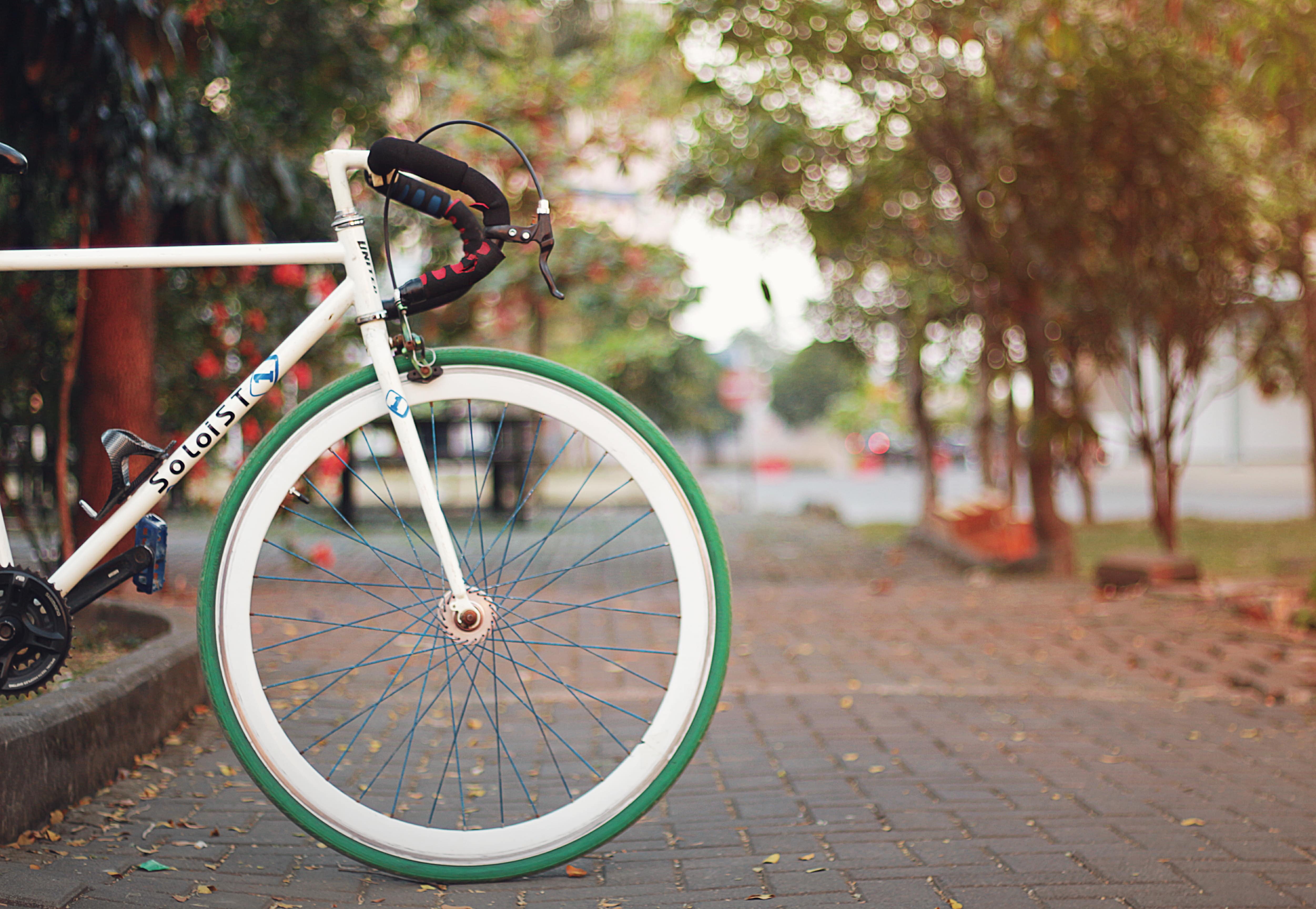 bicycle-at-the-park