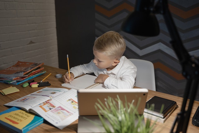 Little boy studying in front of computer